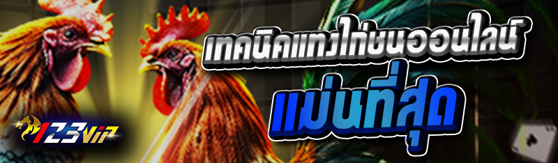 เทคนิคแทงไก่ชนออนไลน์ แม่นที่สุด 
